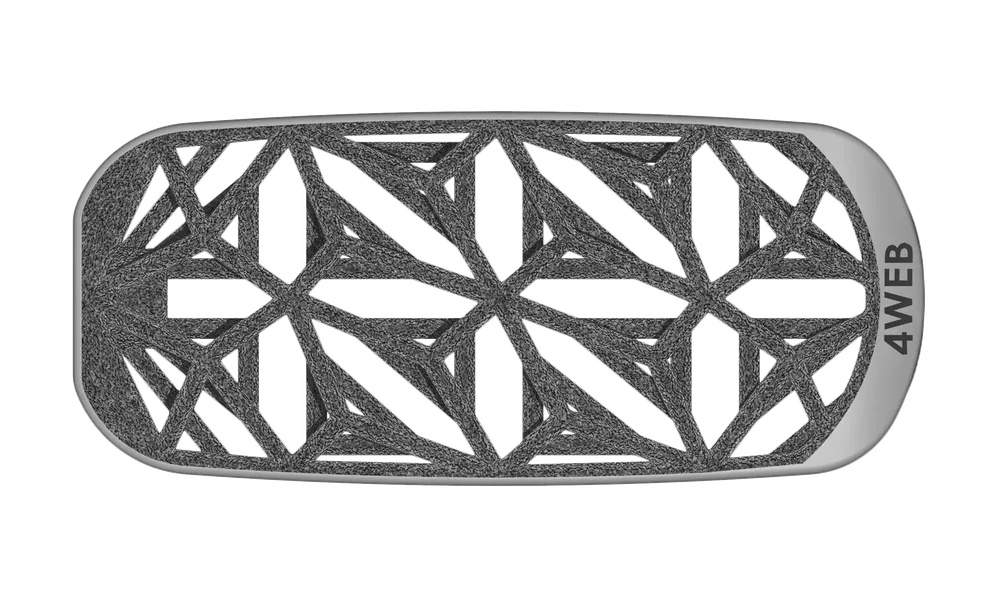 4WEB truss implant render