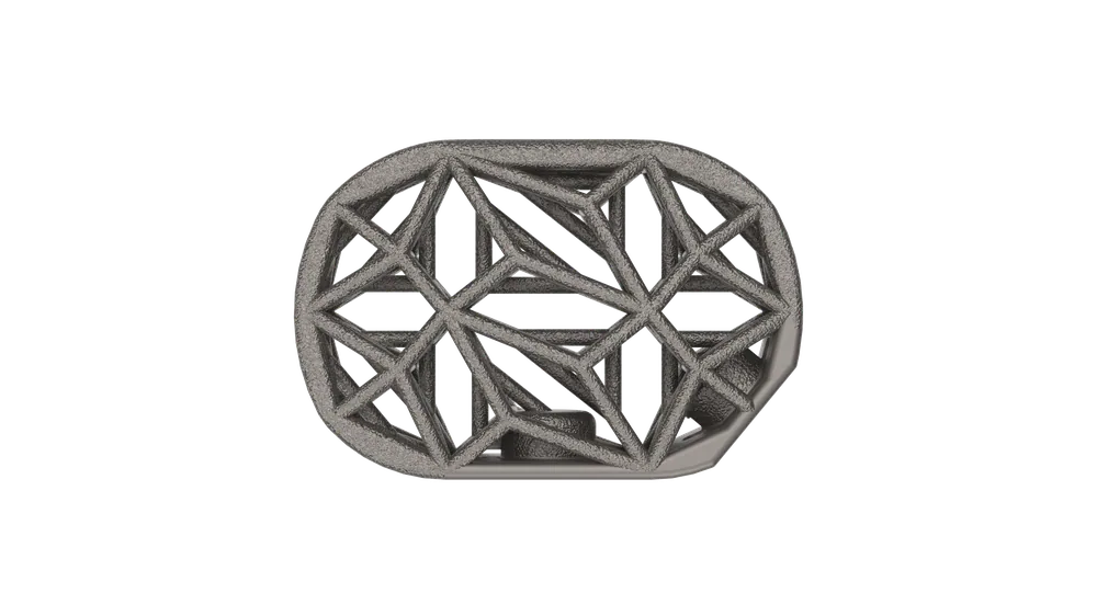 Anterior Spine Truss System top view