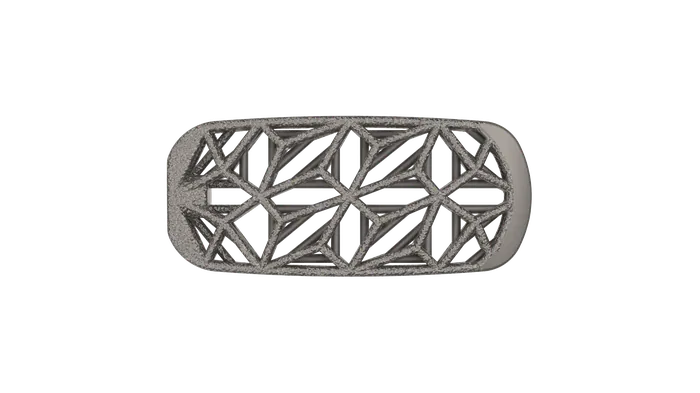 Snowshoe Interface, LSTS implant face