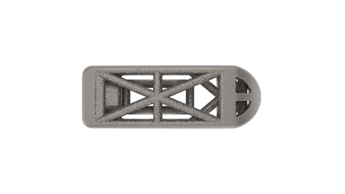 Snowshoe Interface, PSTS implant face