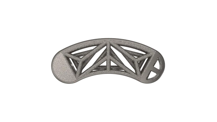 Snowshoe Interface, TSTS implant face